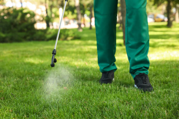 Best Ant Control Services  in Chamberlayne, VA