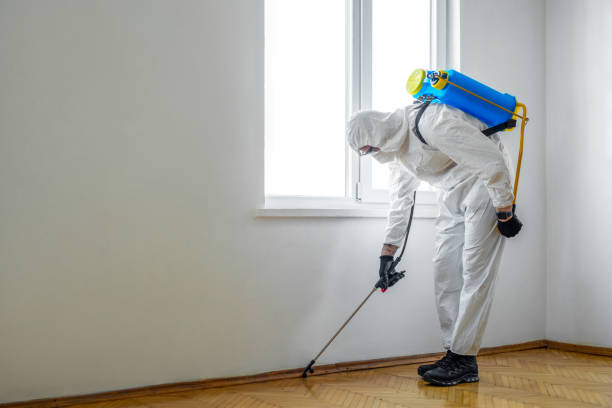 Professional Pest Control in Chamberlayne, VA