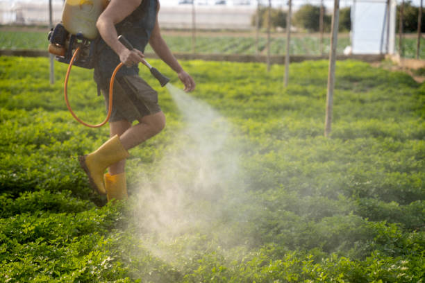 Best Affordable Exterminators  in Chamberlayne, VA