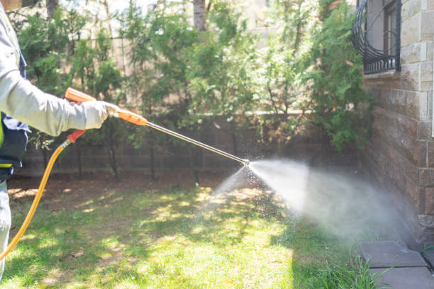 Best Spider Control Near Me  in Chamberlayne, VA