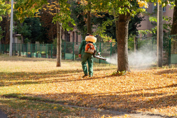 Best Commercial Pest Control Services  in Chamberlayne, VA