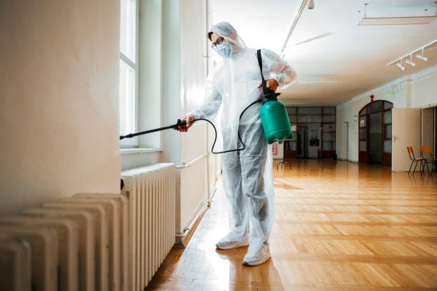 Flea Control Services in Chamberlayne, VA